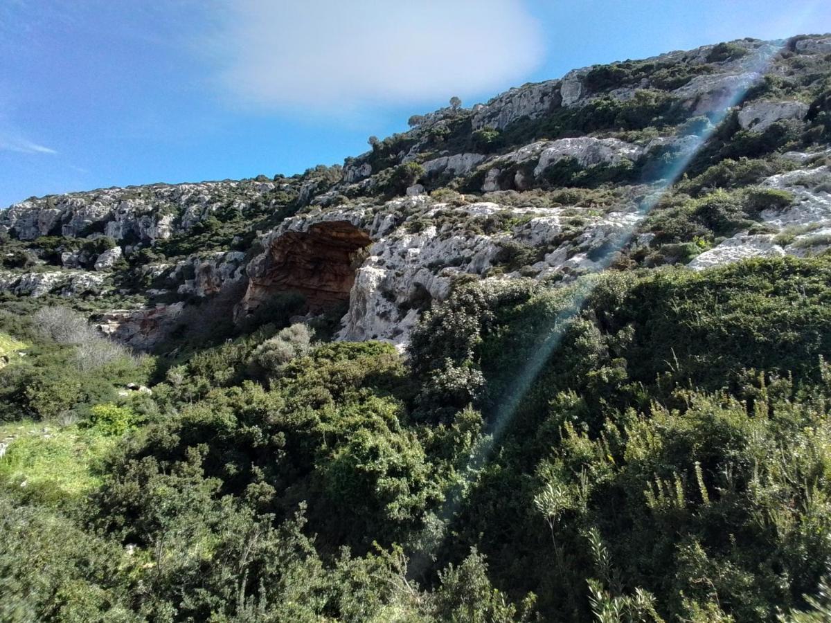 Provi Homes B&B Stavrós Dış mekan fotoğraf